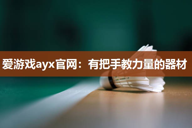 爱游戏ayx官网：有把手教力量的器材