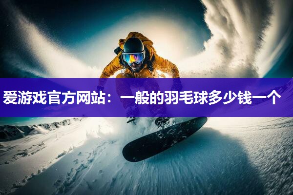 爱游戏官方网站：一般的羽毛球多少钱一个