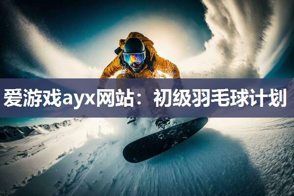 爱游戏ayx网站：初级羽毛球计划