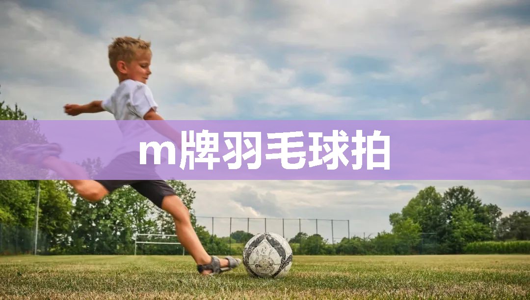 m牌羽毛球拍