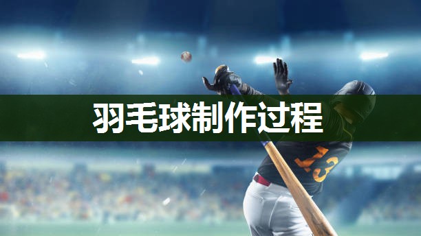 羽毛球制作过程