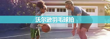 沃尔逊羽毛球拍
