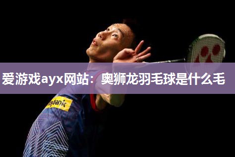 爱游戏ayx网站：奥狮龙羽毛球是什么毛