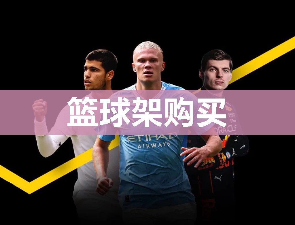篮球架购买