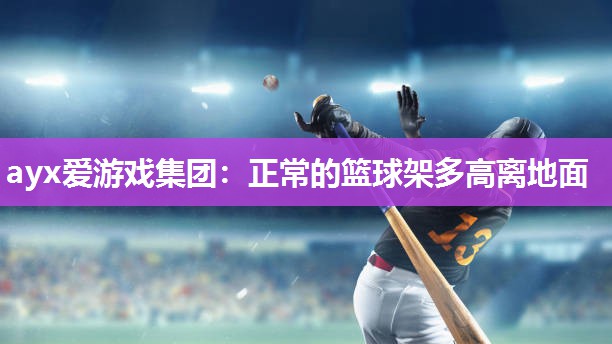 正常的篮球架多高离地面