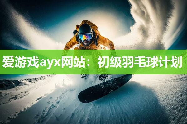 初级羽毛球计划