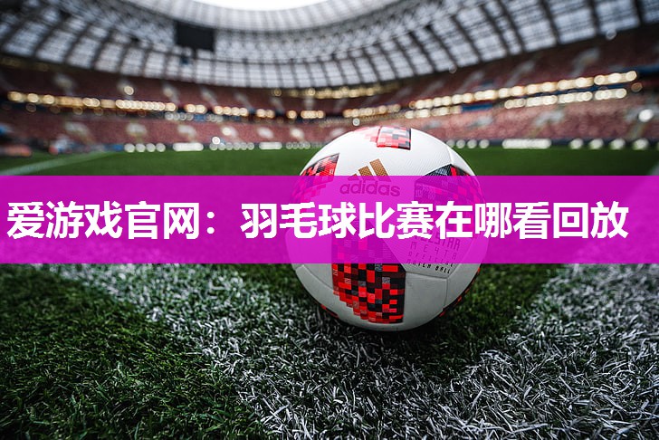 羽毛球比赛在哪看回放
