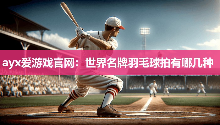 世界名牌羽毛球拍有哪几种