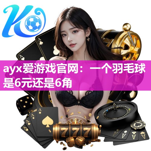 一个羽毛球是6元还是6角