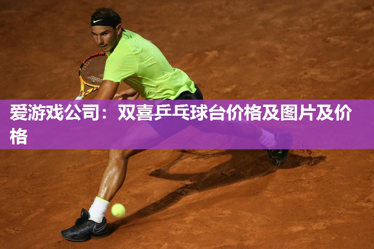 双喜乒乓球台价格及图片及价格