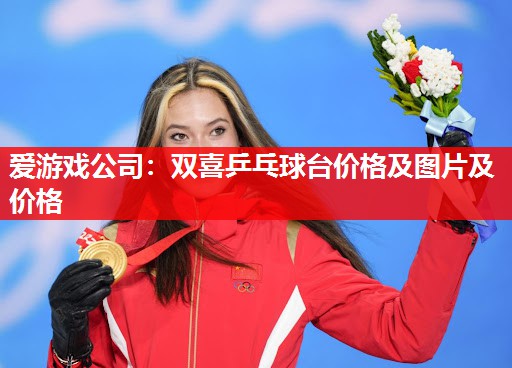 双喜乒乓球台价格及图片及价格