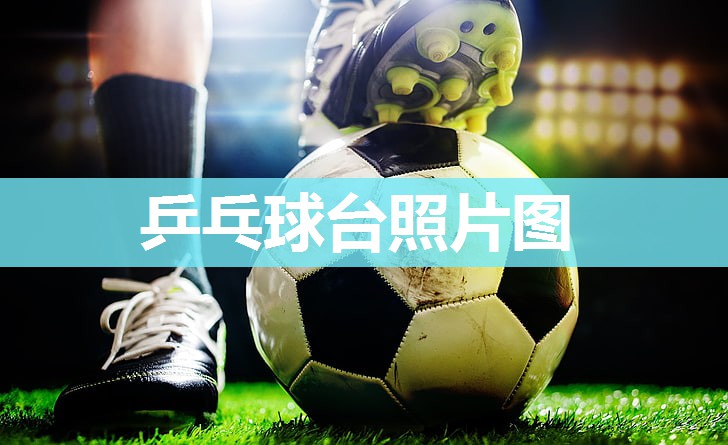 乒乓球台照片图