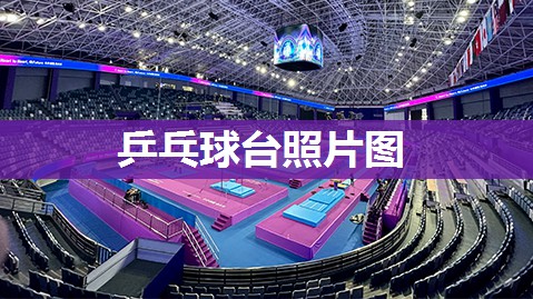 乒乓球台照片图