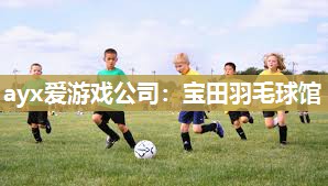 宝田羽毛球馆