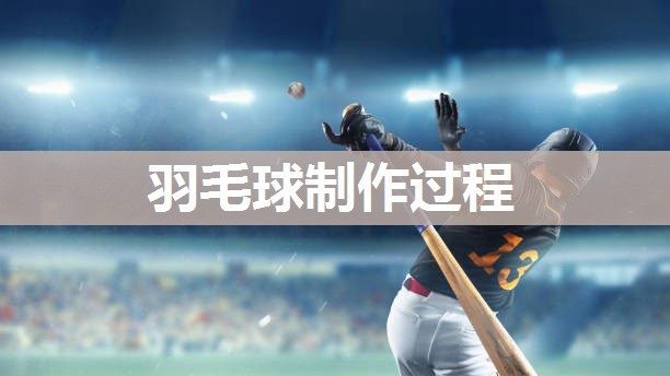 羽毛球制作过程