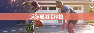 沃尔逊羽毛球拍