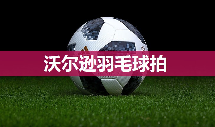 沃尔逊羽毛球拍