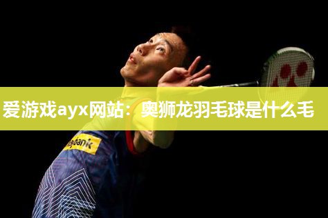 奥狮龙羽毛球是什么毛