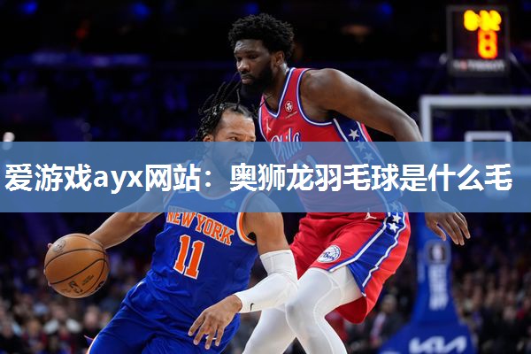 奥狮龙羽毛球是什么毛