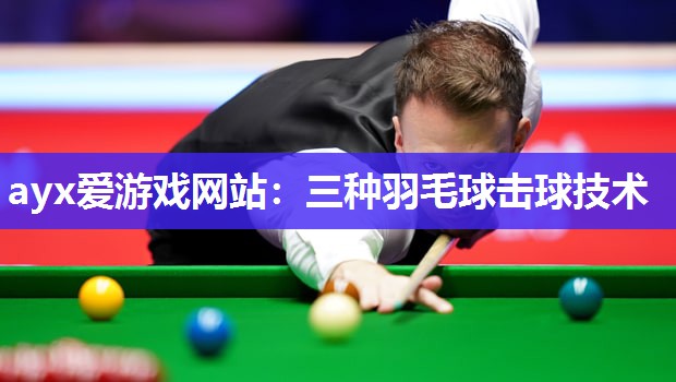 三种羽毛球击球技术