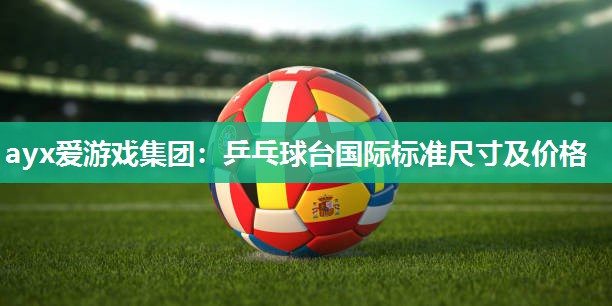 乒乓球台国际标准尺寸及价格