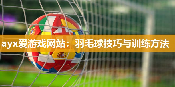 羽毛球技巧与训练方法