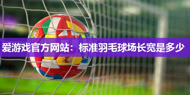 标准羽毛球场长宽是多少