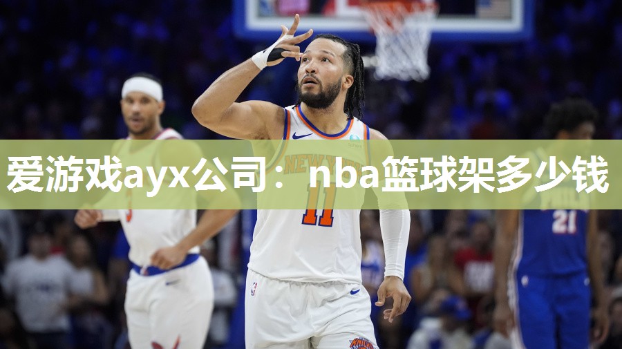 nba篮球架多少钱