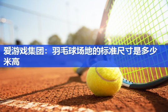 羽毛球场地的标准尺寸是多少米高